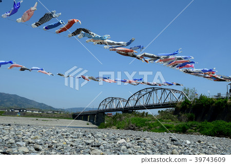 Carp streamer swimming in the blue sky 39743609