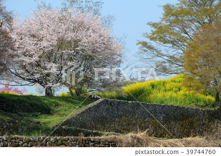 Spring Oka Castle Ruins Spring Oka Castle Ruins 39744760