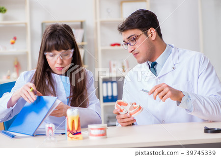 Dentist explaining student tooth structure 39745339