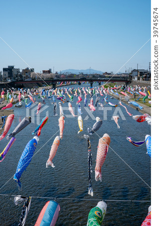 Group swimming of carp streamers in the Kamo River, Niigata Prefecture 39745674