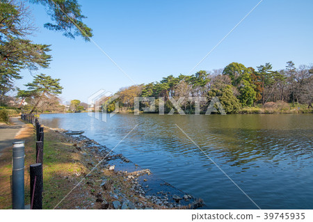 Prefectural Omiya Park 39745935