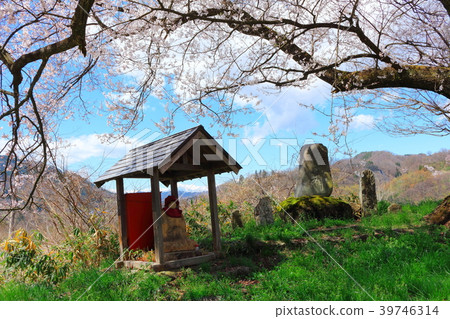 Beautiful Cherry Blossoms 201804: Colored paper interwoven with flowers and plants 201804 39746314