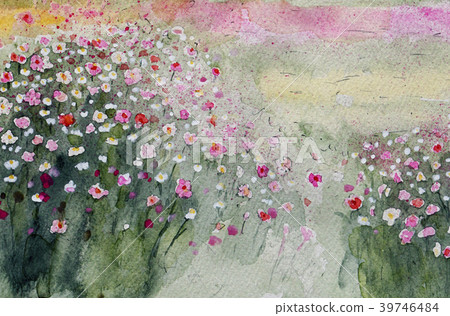 秋天櫻花波斯菊手拉的水彩 39746484