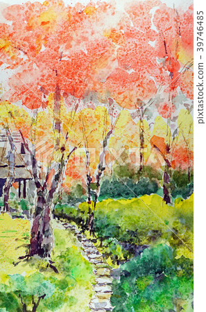 秋葉槭樹秋天satoyama手寫水彩 39746485