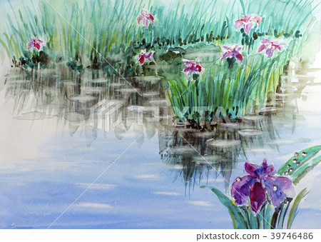 涮，鳶尾，鳶尾，魷魚 39746486