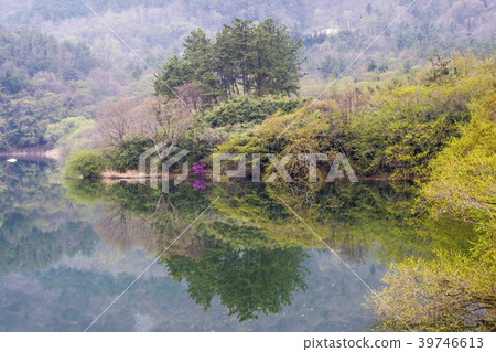 Bongdang Reservoir, Goheung-gun, Jeonnam Bongdang Reservoir, Goheung-gun, Jeonnam 39746613