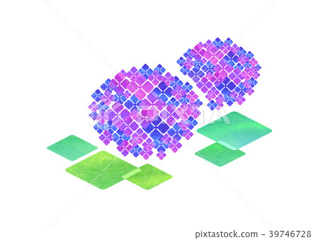 Hydrangea _ Purple Hydrangea _ Purple 39746728
