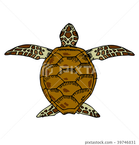 Sea turtle vector illustration 39746831