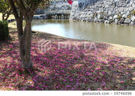 Ako城堡廢墟雪花 39746896