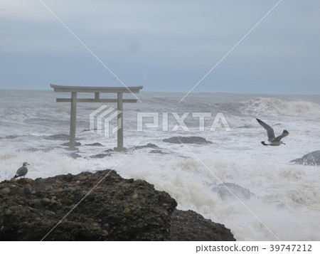 Seagull flying off with Oarai shrine Seagull flying off with Oarai shrine 39747212