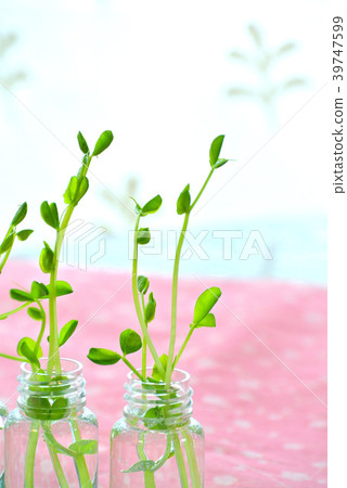 Small bottle of green 39747599