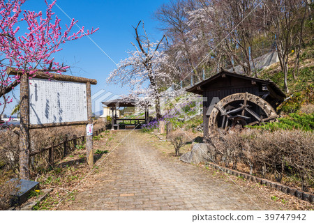 Chichibu綿羊山公園Makimizu瀑布 Chichibu綿羊山公園Makimizu瀑布 39747942