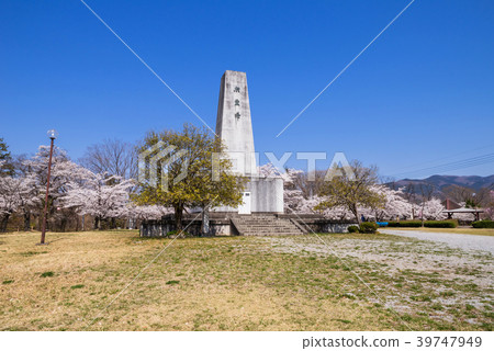 埼玉縣秩父市櫻花盛開的綿羊山公園的風景 39747949