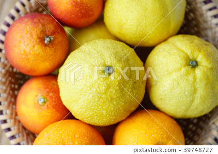 Citrus Blood Orange Haruka (Assorted) 39748727