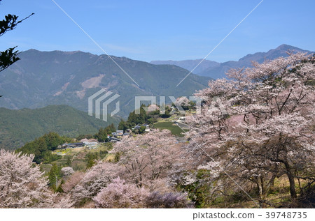 Spring of Ninodogawa Town Spring of Ninodogawa Town 39748735