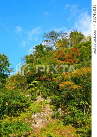 Near Motomiya Sabo breakwater in autumn Toyama prefecture Toyama city Motomiya 39748833