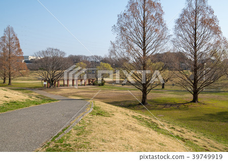 埼玉縣大宮第二公園調整池塘早春 照片素材 圖片 圖庫