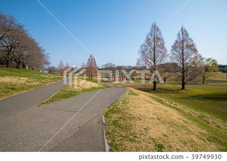 埼玉縣大宮第二公園調整池塘早春 照片素材 圖片 圖庫