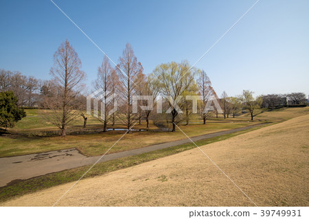 埼玉縣大宮第二公園調整池塘早春 照片素材 圖片 圖庫