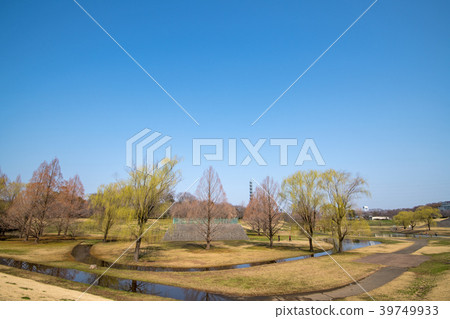 埼玉縣大宮第二公園調整池塘早春 照片素材 圖片 圖庫