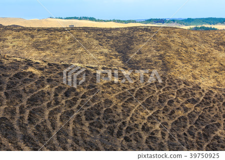 Hakoishi beach Nose mark [Aso City, Kumamoto Prefecture] 39750925