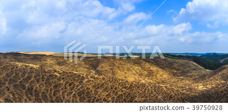 Hakoishi Pass No Burn trace Panorama [Aso City, Kumamoto Prefecture] 39750928