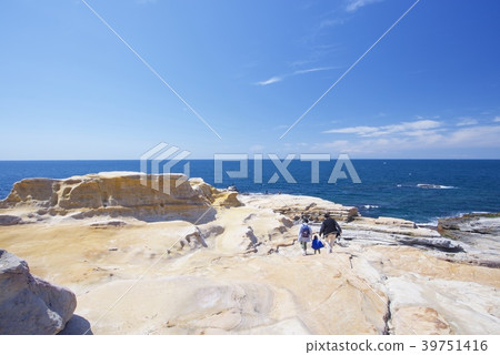 在和歌山縣的Nanki Shirahama的Senjojiki(春天) 在和歌山縣的Nanki Shirahama的Senjojiki(春天) 39751416