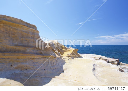 在和歌山縣的Nanki Shirahama的Senjojiki(春天) 在和歌山縣的Nanki Shirahama的Senjojiki(春天) 39751417