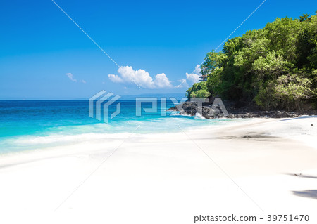 Tropical white sand beach and ocean 39751470