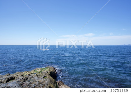 Senjojiki (spring) in Nanki Shirahama, Wakayama Prefecture 39751589