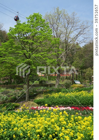 神戶海埠花園〜歡樂花園〜 39751657