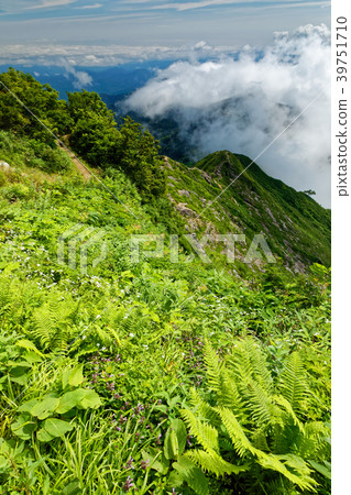 從Iide山脈，Mikuni-dake看到的Jizo-dake的山脊線 39751710