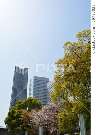 橫濱 橫濱 39752025