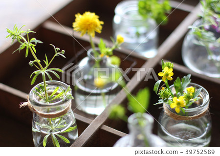 裝飾花 39752589