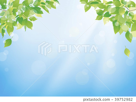 Background sky plant Background sky plant 39752982