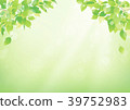 Background green plant 39752983