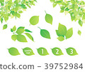 Background material plant 39752984