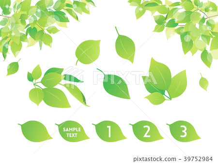 Background material plant 39752984