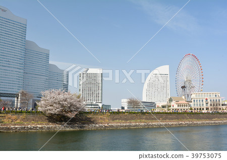 Yokohama  39753075