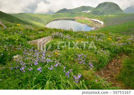 夏天的Chokaiyama 39753167