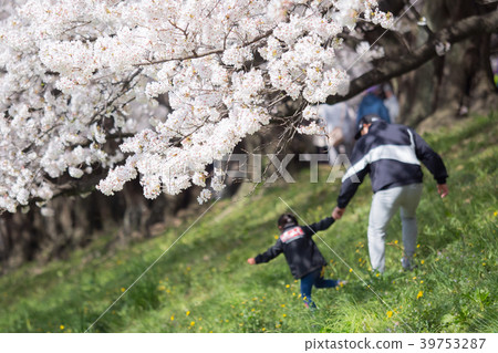A parent and child under a cherry tree A parent and child under a cherry tree 39753287