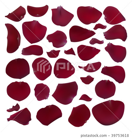 Set of Burgundy rose petals. Set of Burgundy rose petals. 39753618