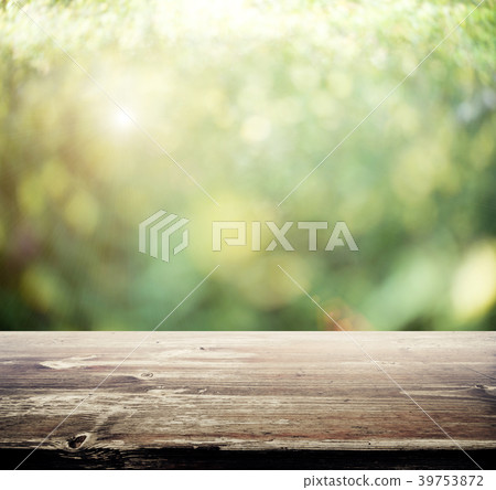 Blur summer forest bokeh 39753872