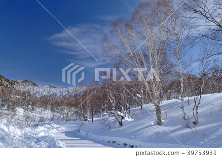 Kido池塘的雪風景 Kido池塘的雪風景 39753931
