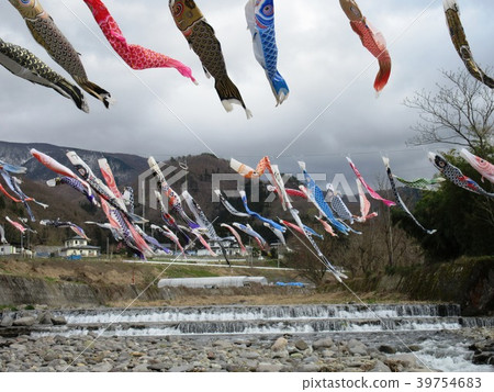 高瀨川櫻花和鯉魚飄帶 高瀨川櫻花和鯉魚飄帶 39754683