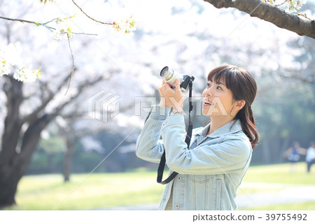 A woman taking a picture A woman taking a picture 39755492