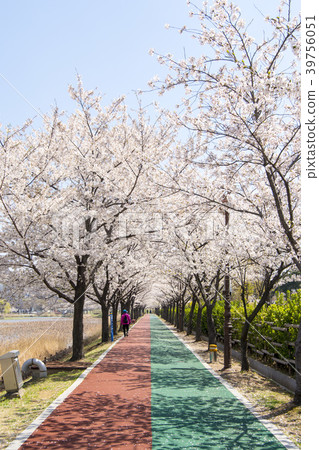 Hwarang Amusement Park, Ansan City, Gyeonggi-do 39756051