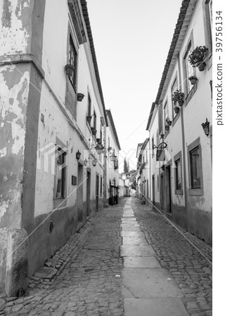 [Monotone] Obidos landscape 39756134