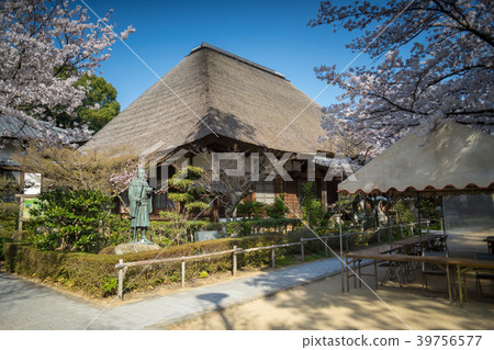 Yenji寺 Yenji寺 39756577