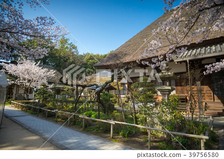 Yenji Temple 39756580